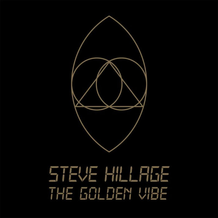 Steve Hillage: The Golden Vibe