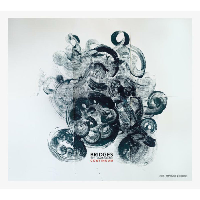 Bridges & Seamus Blake: Continuum