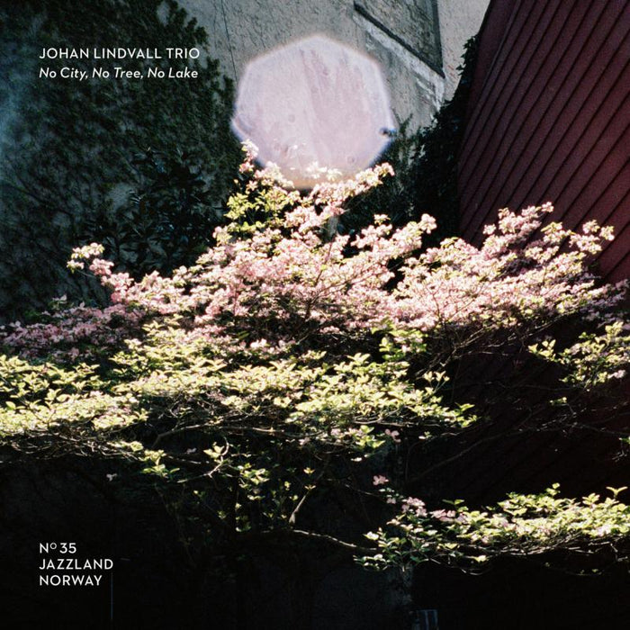 Johan Lindvall Trio: No City, No Trees, No Lake