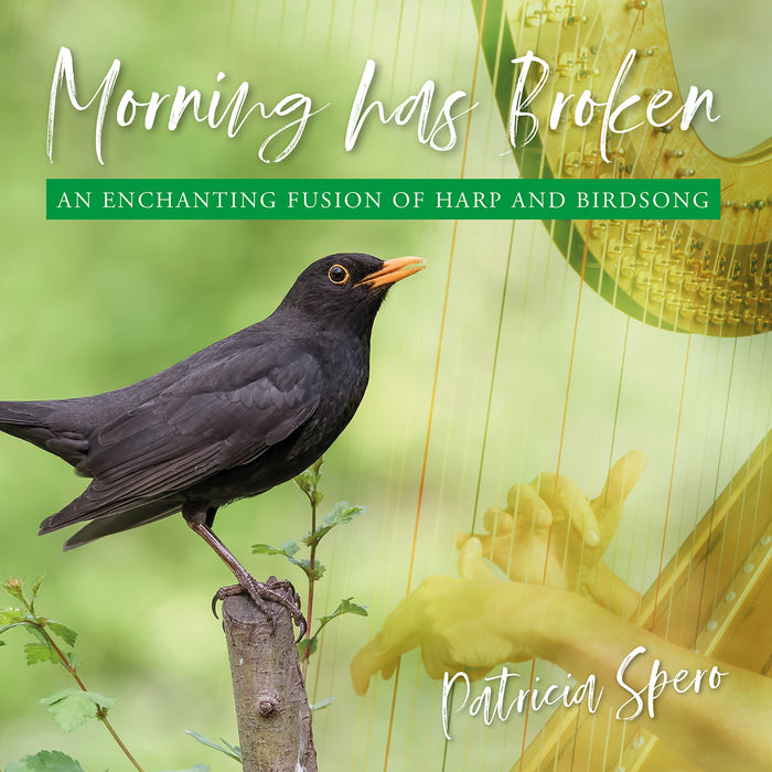 Patricia Spero: Morning Has Broken