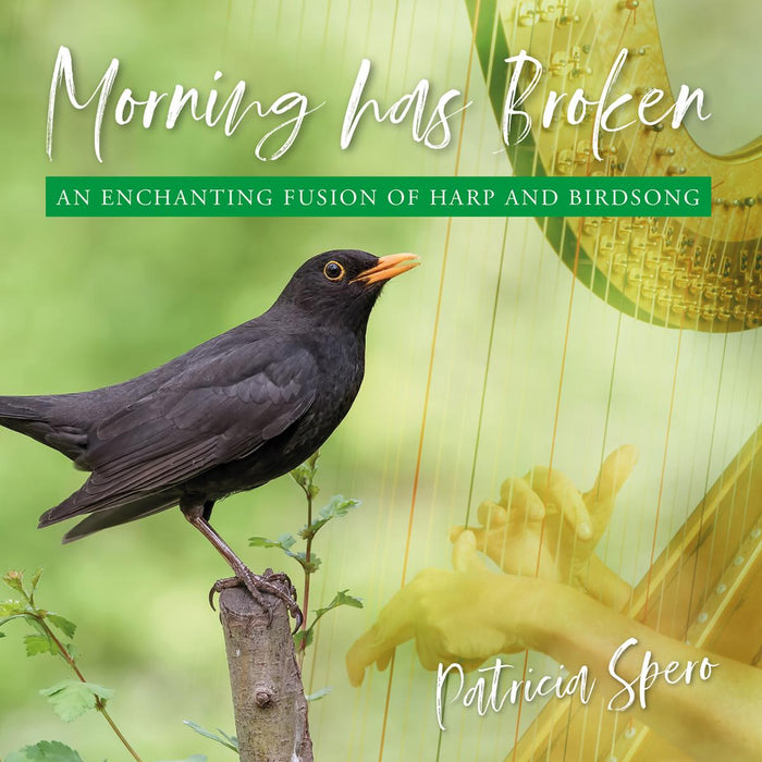 patriciaspero-morninghasbroken