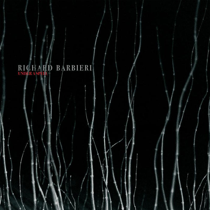Richard Barbieri: Under A Spell (140g, Gatefold Sleeve) (2LP)