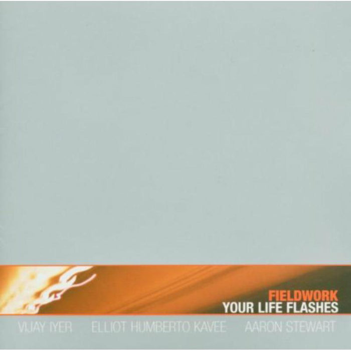 Fieldwork: Your Life Flashes