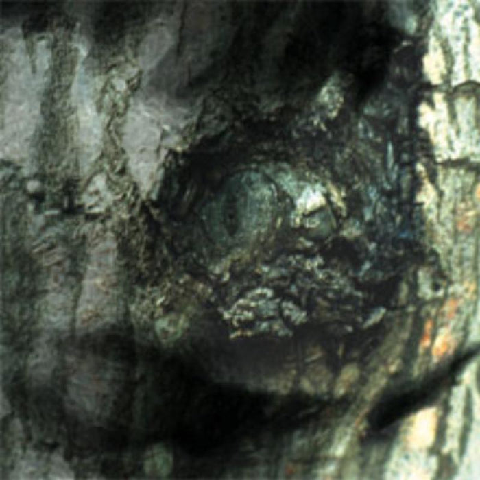 Yann Tiersen: Valse Des Monstres