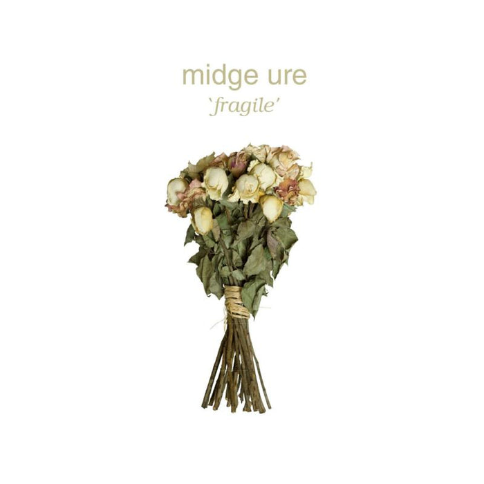 Midge Ure: Fragile