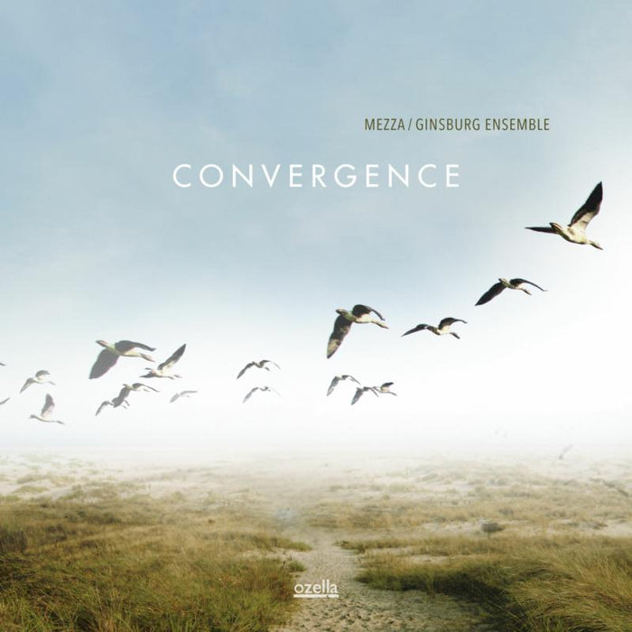 Mezza / Ginsburg Ensemble: Convergence