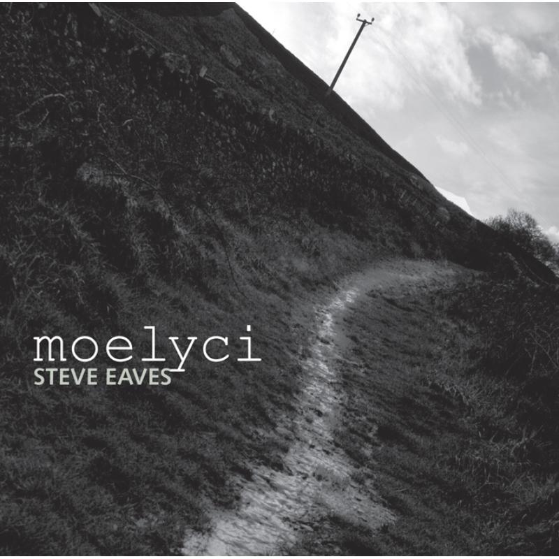 Steve Eaves: Moelyci