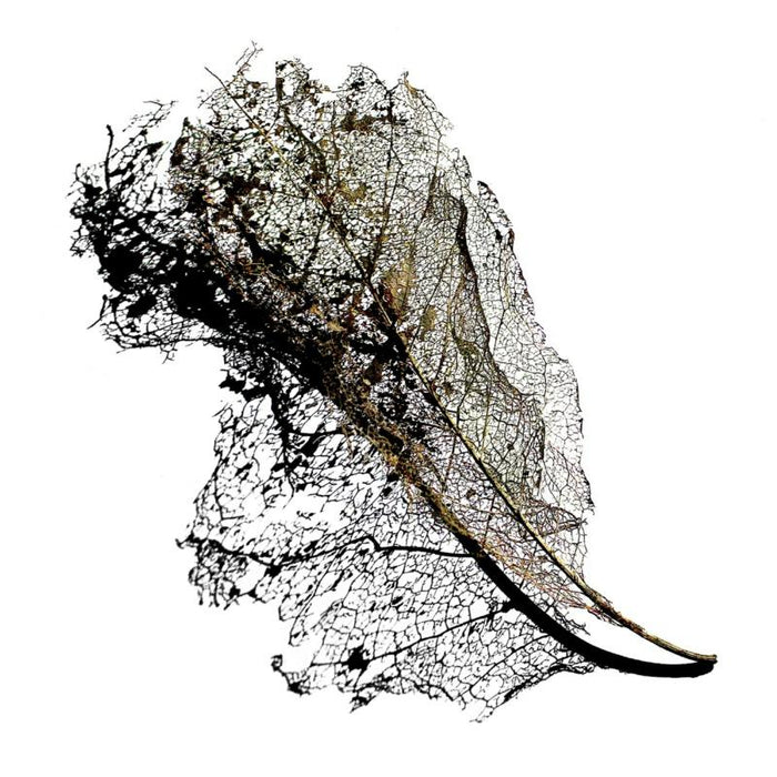 Max Cooper: Earth EP