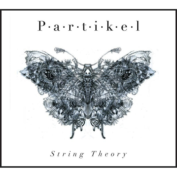 Partikel: String Theory