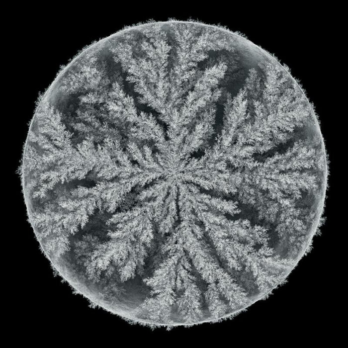 Max Cooper: Emergence Remixed