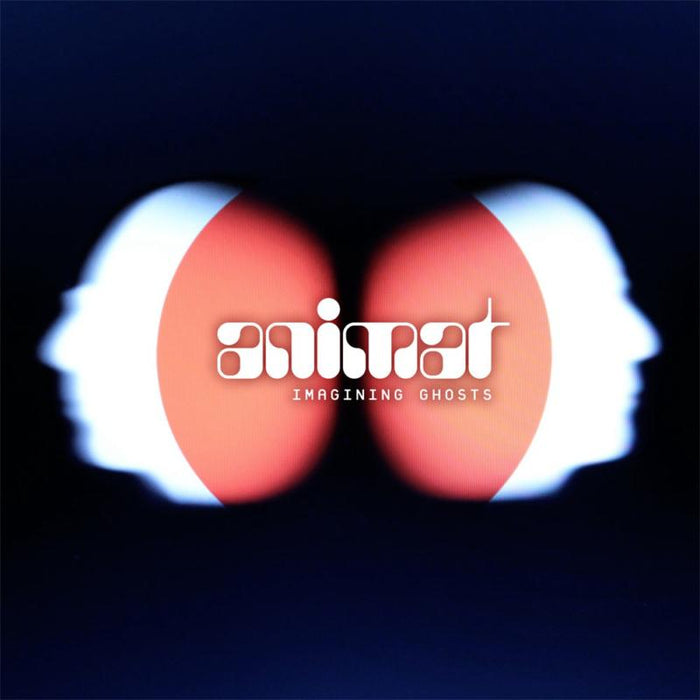 Animat: Imagining Ghosts