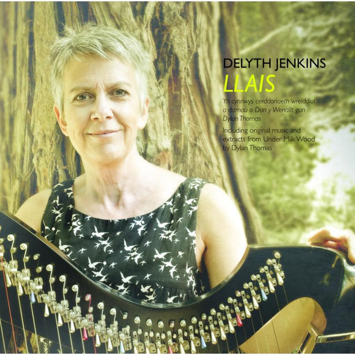 Delyth Jenkins: Llais