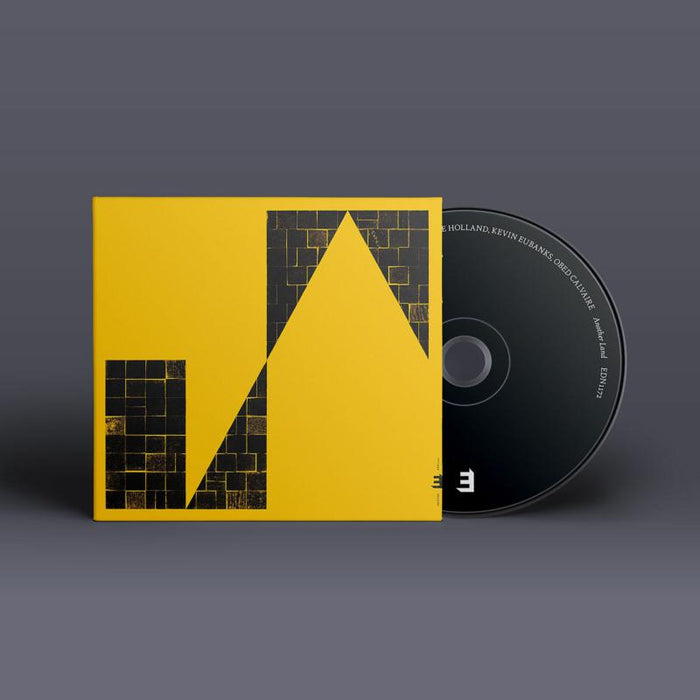 Dave Holland: Another Land