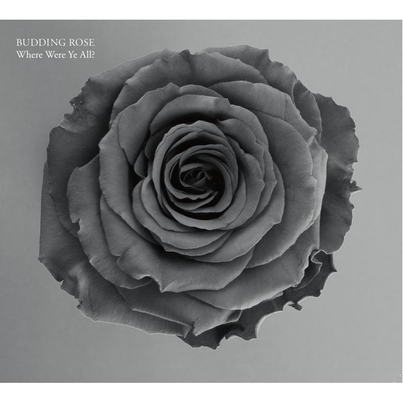 Budding Rose: Where Were Ye All