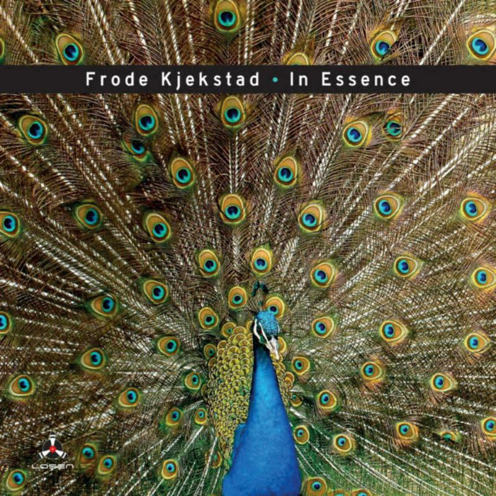 Frode Kjekstad: In Essence