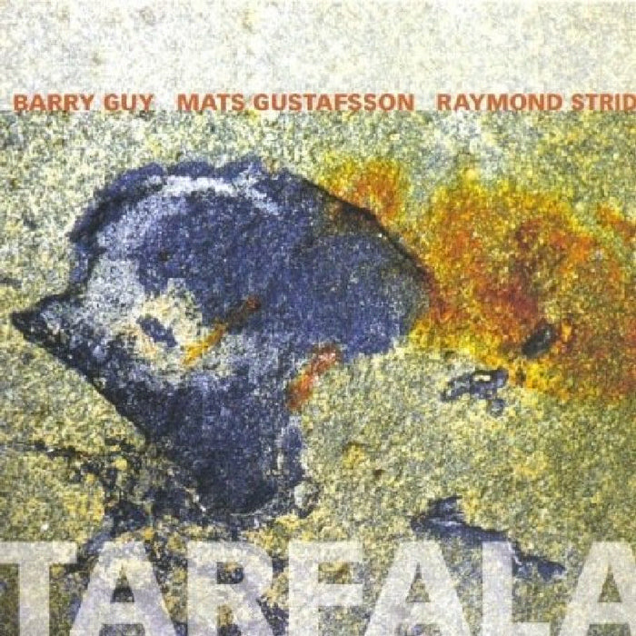 Barry Guy, Mats Gustafsson & Raymond Strid: Tarfala