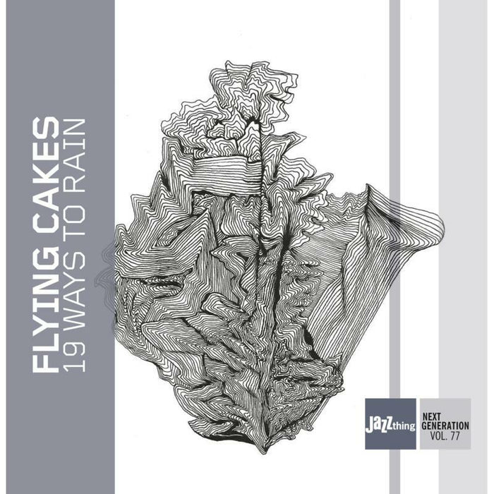 Flying Cakes 19 Ways To Rain CD