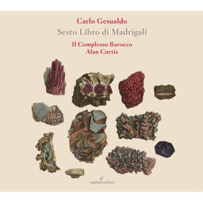 Il Complesso Barocco; Alan Curtis - Carlo Gesualdo: Sesto Libro Di Madrigali - GCDC80031