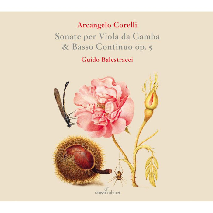 Guido Balestracci; Paolo Pandolfo; Edoardo Eguez - Sonatas Per Viola Da Gamba & Basso Continuo Op. 5 - GCDC80032