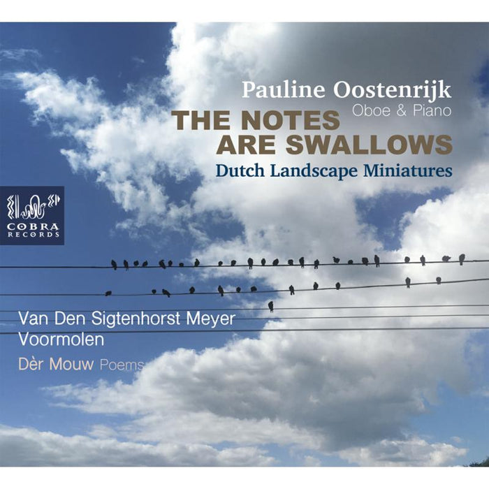 Pauline Oostenrijk: The Notes Are Swallows, Dutch Landscape Miniatures