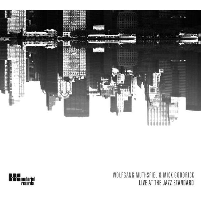 Wolfgang Muthspiel & Mick Goodrick: Live at the Jazz Standard