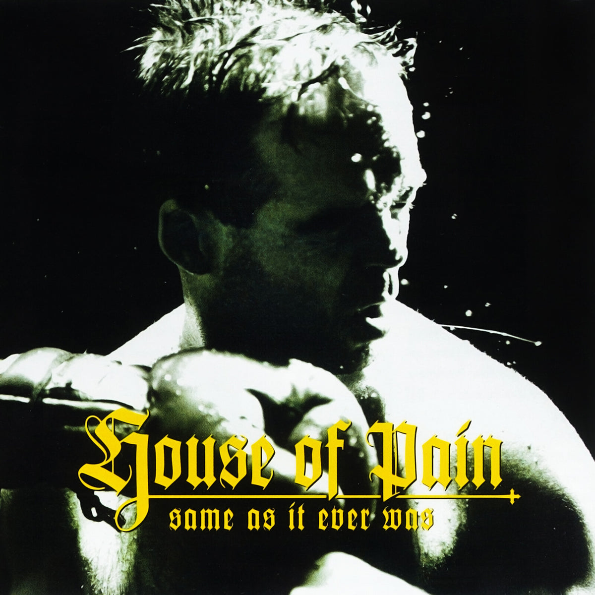 House of Pain - Same as It Ever Was (30th Anniversary) - TB55311