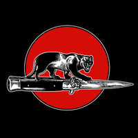 Jim Jones All Stars - CAT FIGHT - SAR68LP