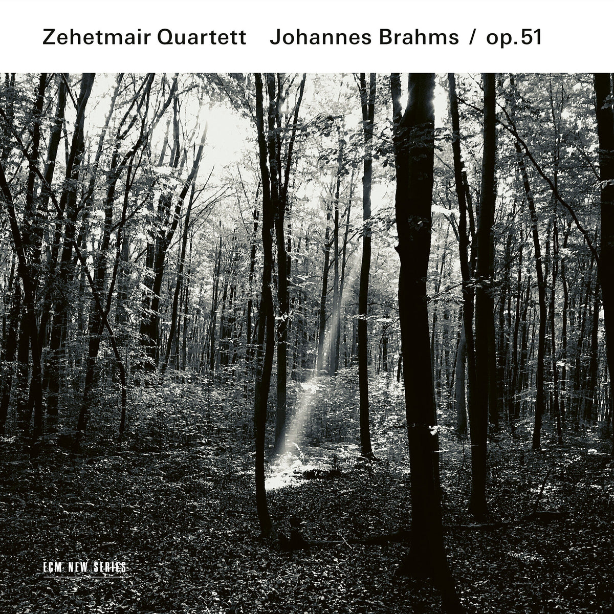 Zehetmair Quartett - Johannes Brahms: String Quartets, Op. 51 - 4878228
