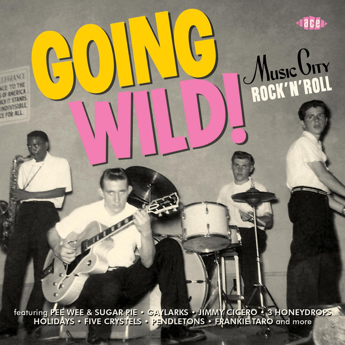 Various Artists - Going Wild! Music City Rock'n'Roll - CDCHD1372