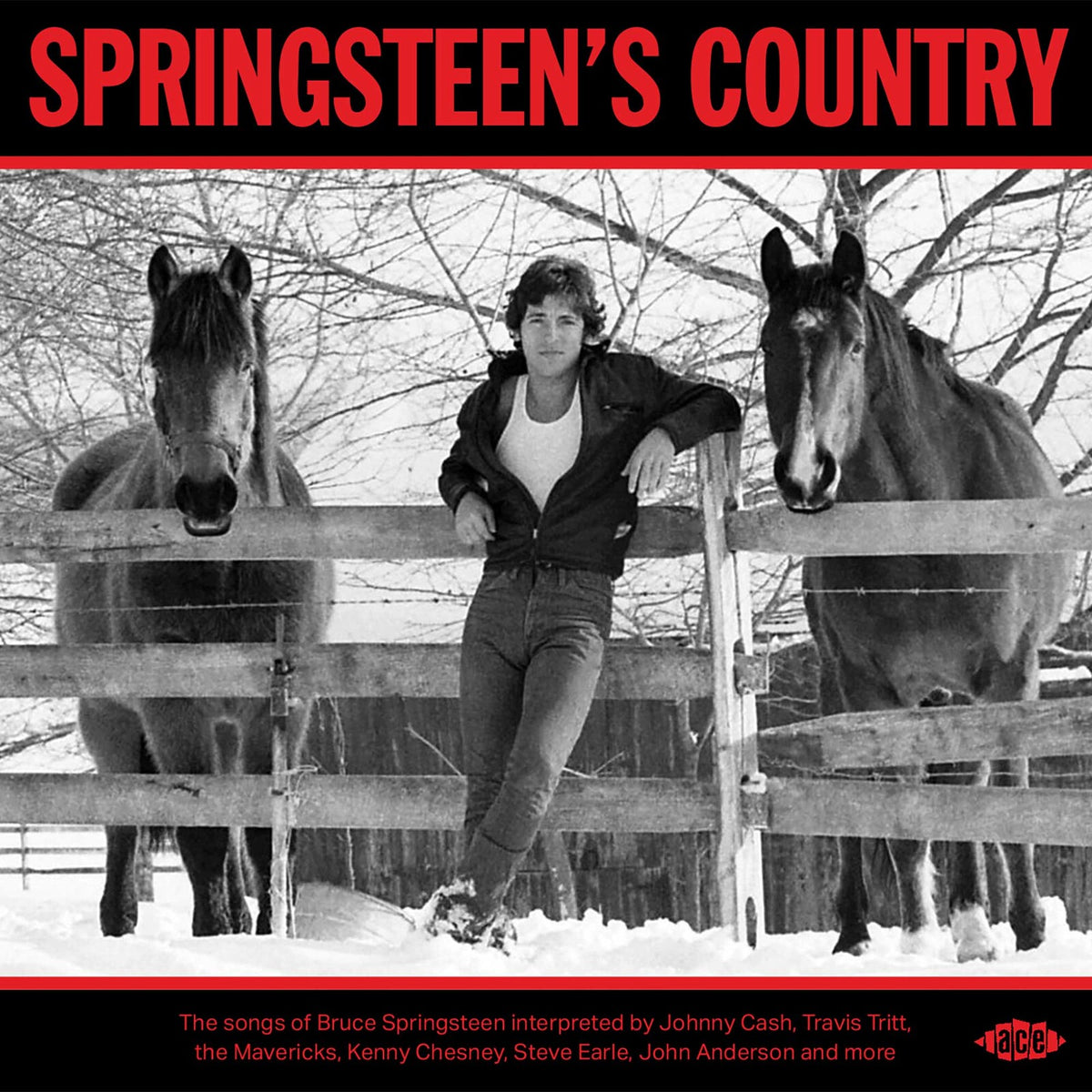 Various Artists - Springsteen's Country - CDTOP1661