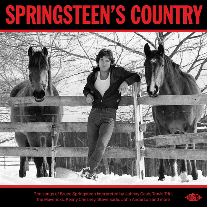 Various Artists - Springsteen's Country - CDTOP1661