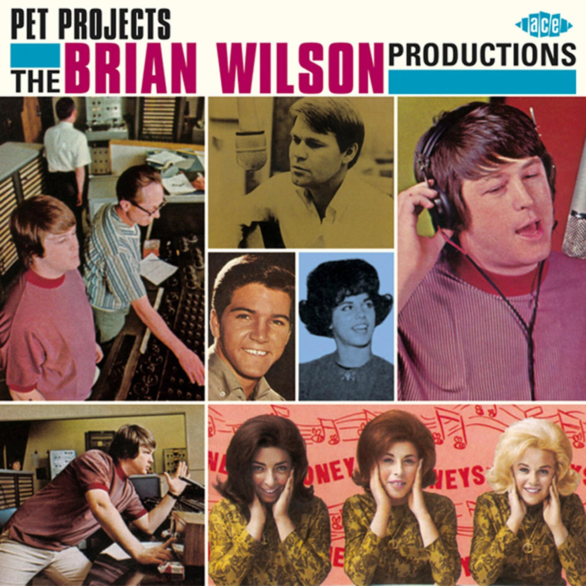 Various Artists - Pet Projects: The Brian Wilson Productions - CDCHD851
