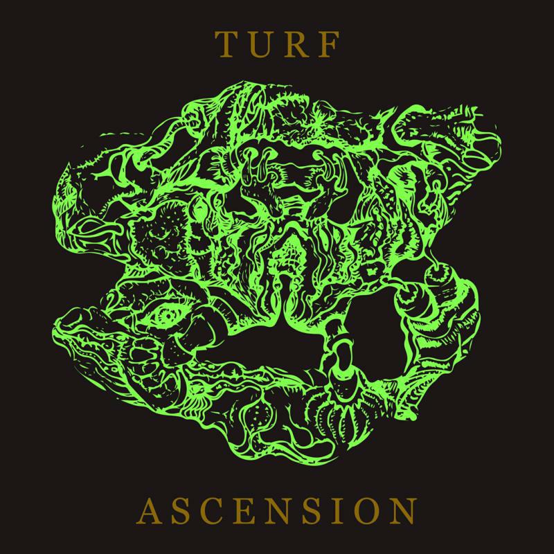 Bubblemath - Turf Ascension - RUNE488