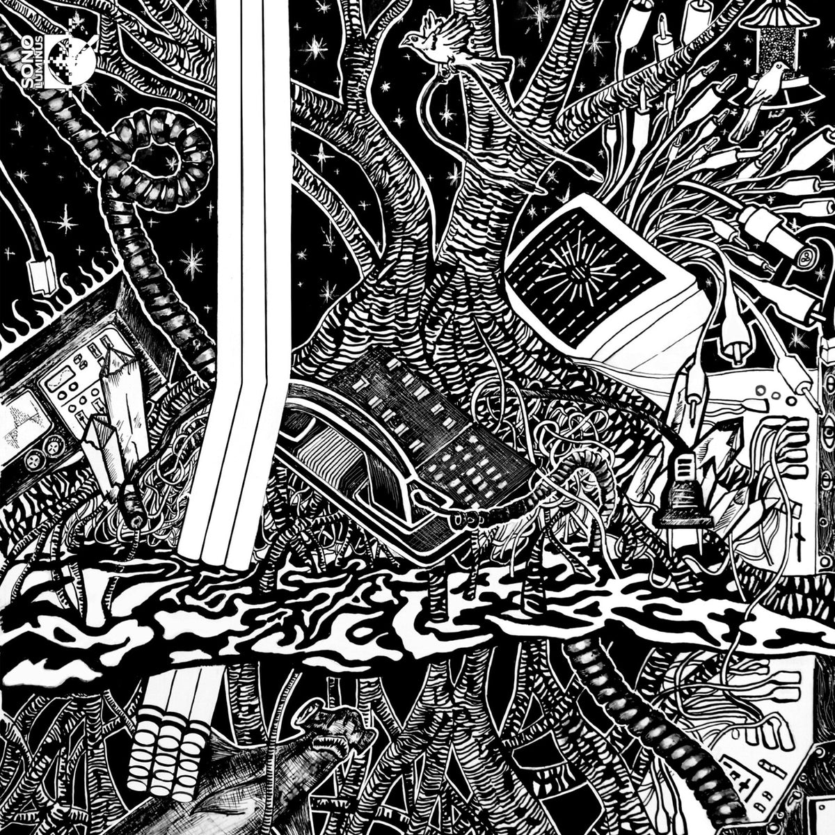 Austin Wulliman; JACK Quartet - Austin Wulliman: Escape Rites - SLE-70037