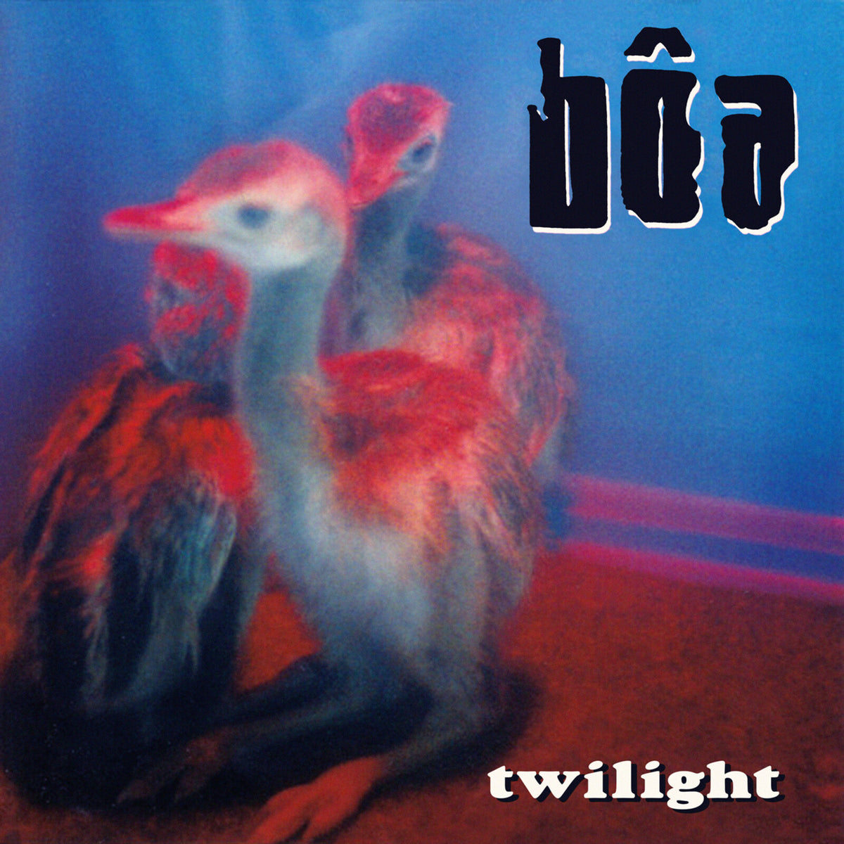 boa - Twilight - NMG31574