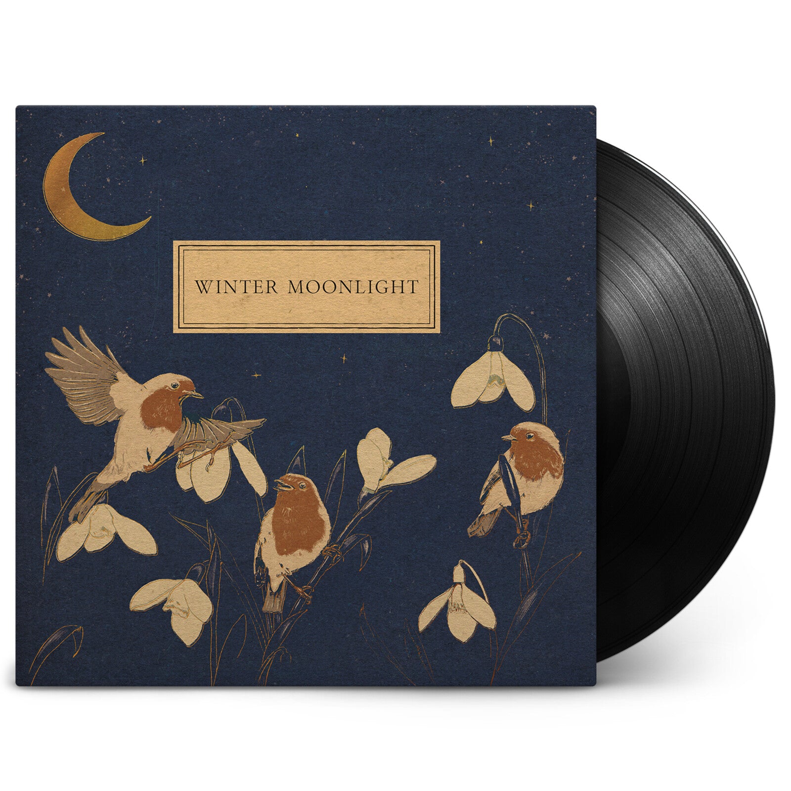 boa: Twilight – Proper Music