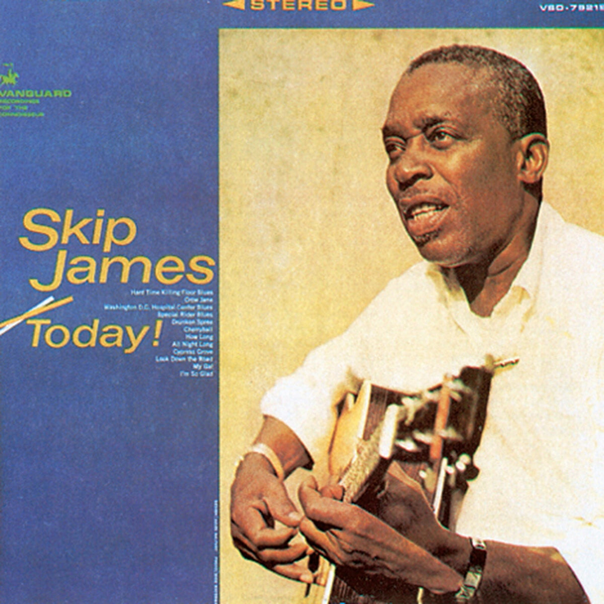 Skip James - Skip James - VMD79219