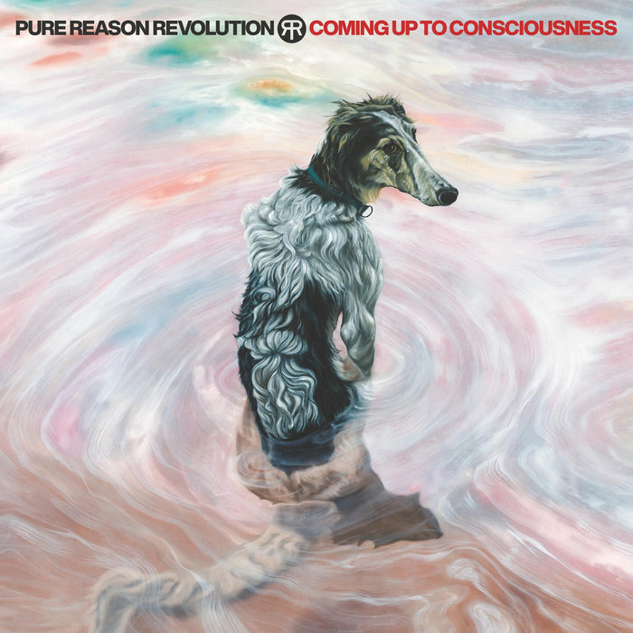 Pure Reason Revolution - Coming Up To Consciousness - 19658871432