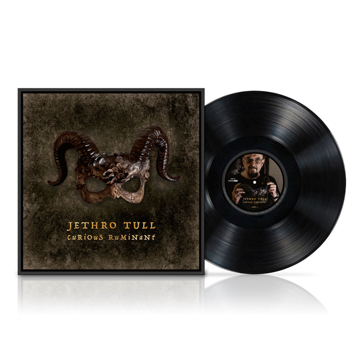 Jethro Tull - Curious Ruminant (Gatefold Black LP) - 19802861891