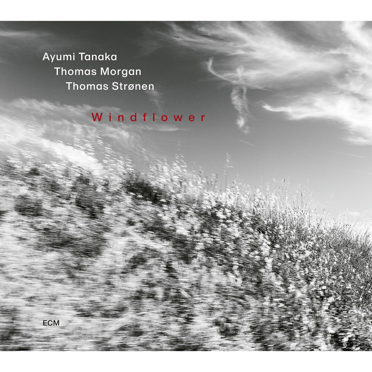 Ayumi Tanaka; Thomas Morgan; Thomas Stronen - Ayumi Tanaka: Windflower - 5744313
