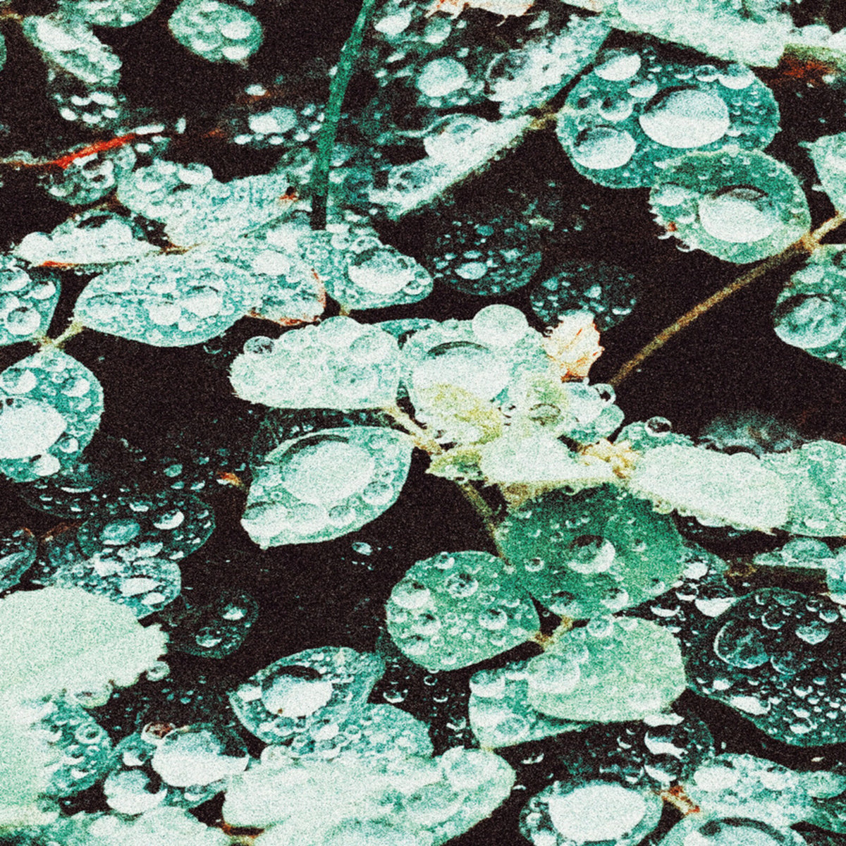 Sadness - Rain Chamber - FLOW49LP