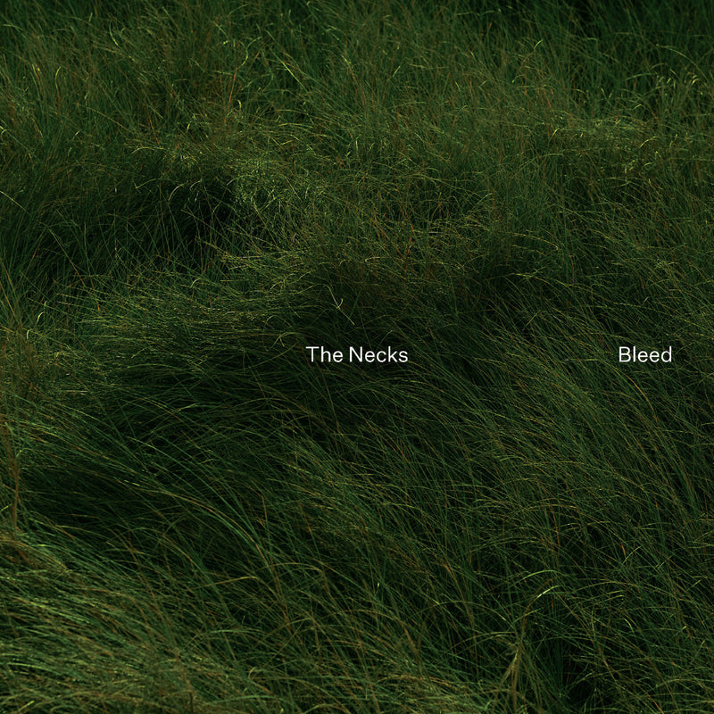 The Necks - Bleed - CDNS168