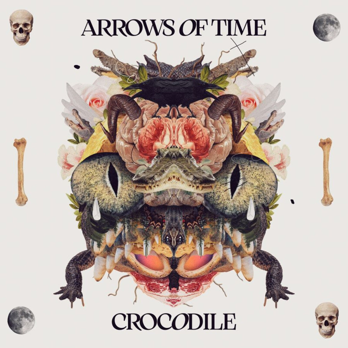 Arrows of Time - Crocodile - KCR047