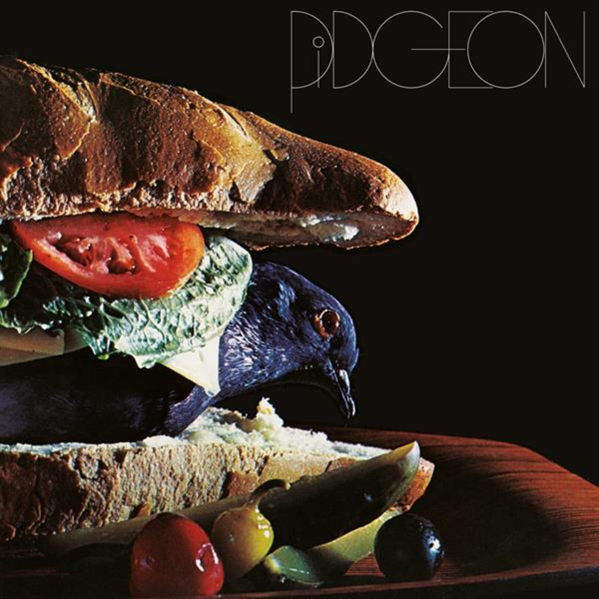 Pidgeon - Pidgeon - MOCCD14409