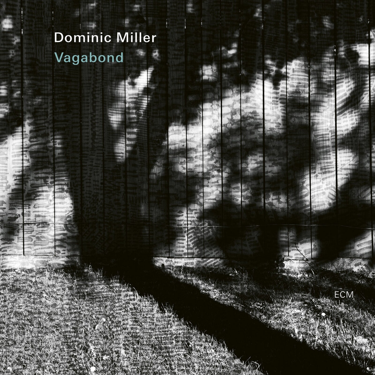 Dominic Miller - Vagabond - 4589048