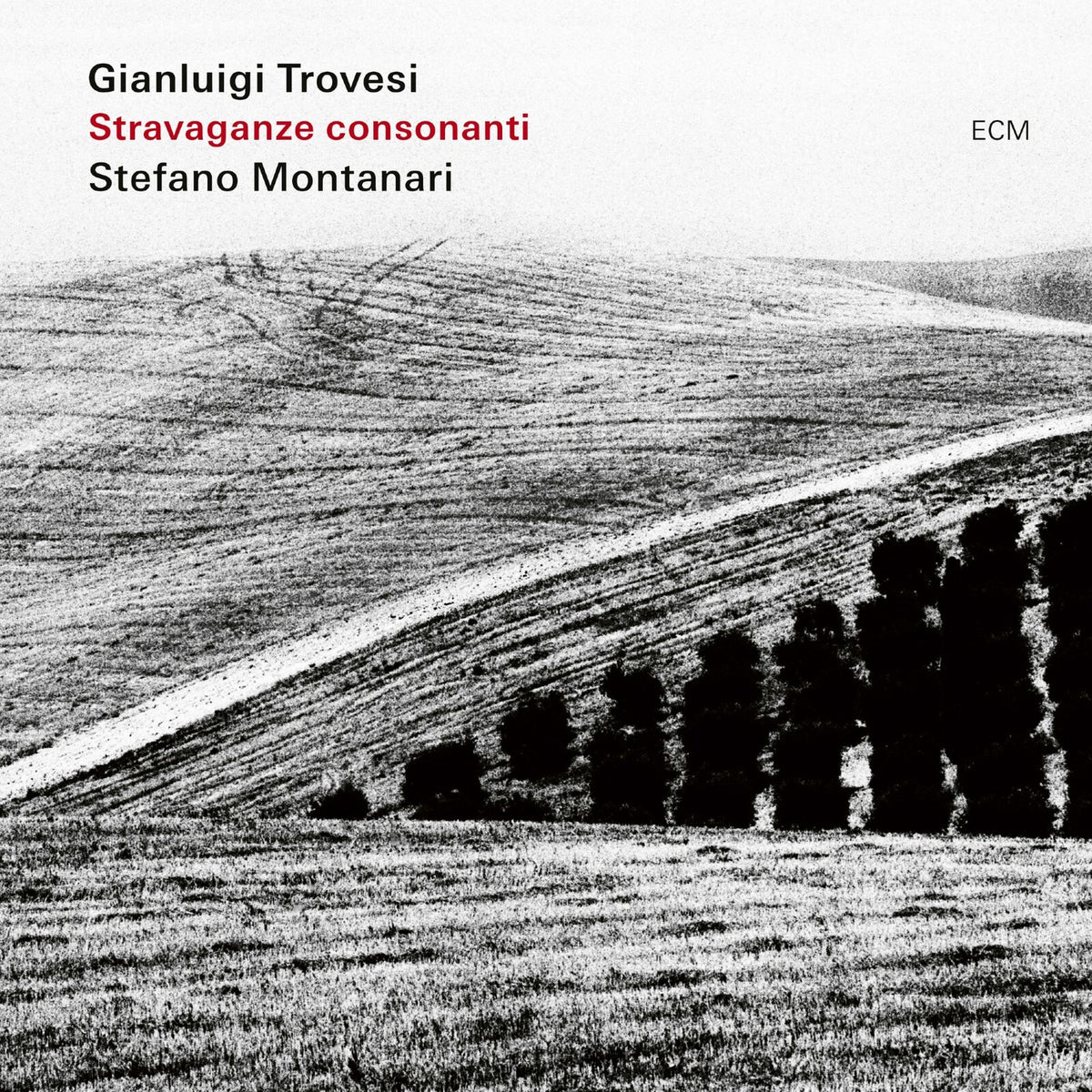 Gianluigi Trovesi & Stefano Montanari - Stravaganze Consonanti - 4828600