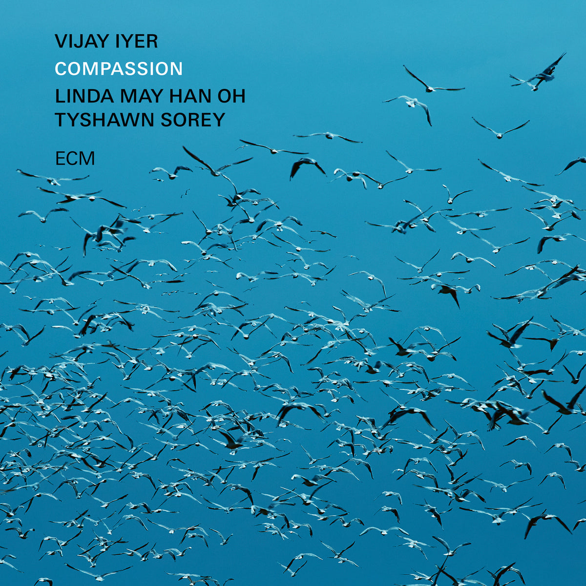 Vijay Iyer, Linda May Han Oh & Tyshawn Sorey - Compassion - 5567498