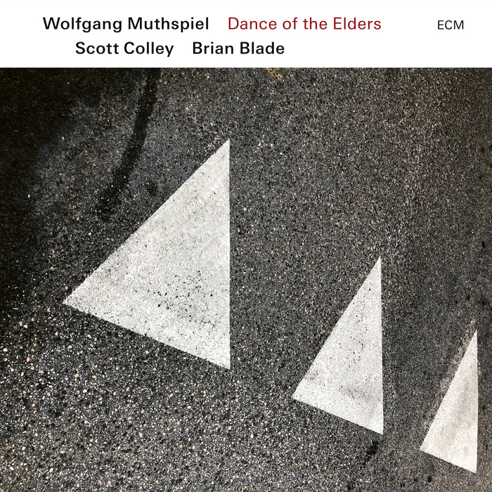Wolfgang Muthspiel, Scott Colley &amp; Brian Blade - Dance of the Elders