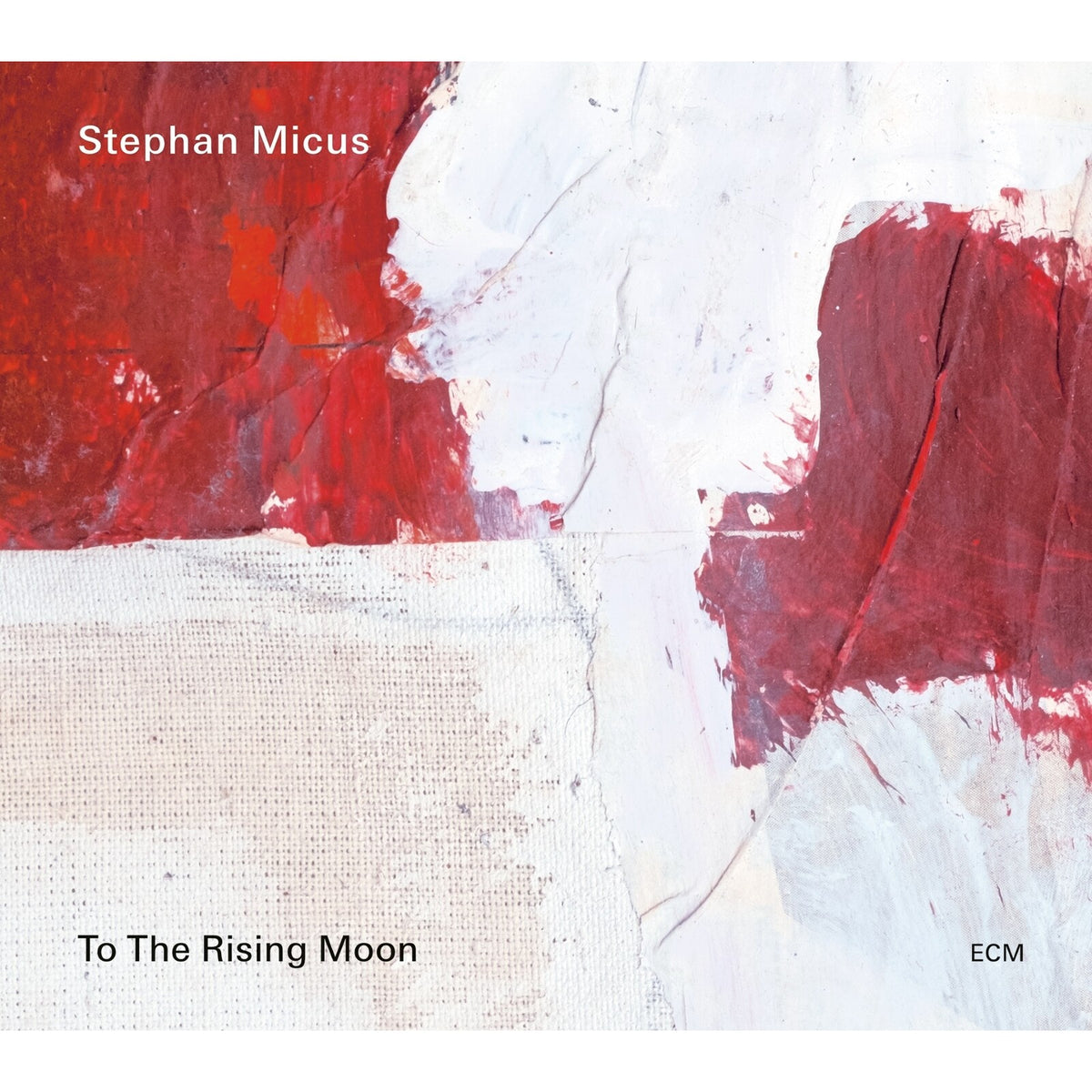 Stephan Micus - Stephan Micus: To The Rising Moon - 6592131