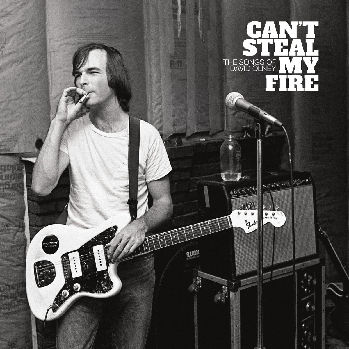 Various Artists - Can't Steal My Fire: The Songs of David Olney - LPNW5813